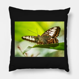 Butterfly on a Leaf Pillow