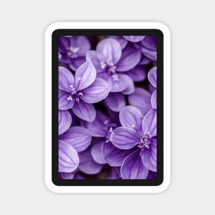 Beautiful Violet Flowers, for all those who love nature #126 Magnet