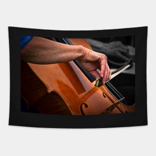 The Cello Tapestry