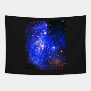 Magellanic Cloud Tapestry