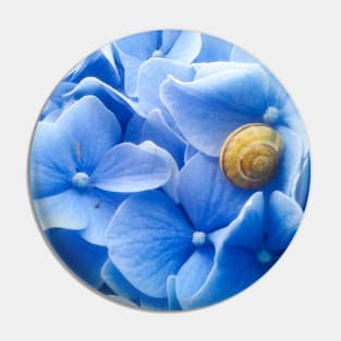 Golden Snail Blue Hydrangea Pin