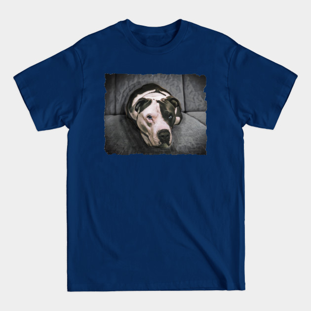 Disover Loveable Pit Bull With Blue Eyes - Pitbull Dog - T-Shirt