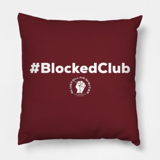 BCW Blocked Club Pillow