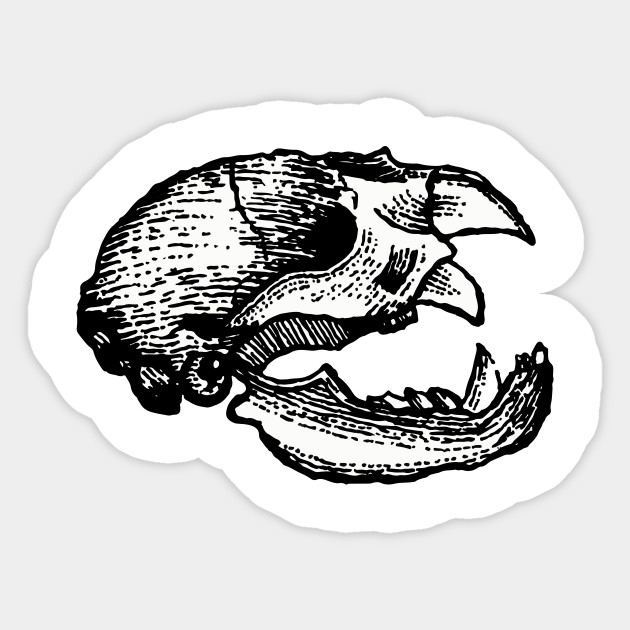 animal skull art sticker teepublic