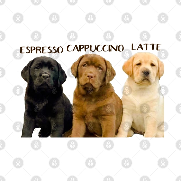 Espresso cappuccino latte cute puppy by AA