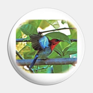 EASTERN CRIMSON SUNBIRD ART Pin