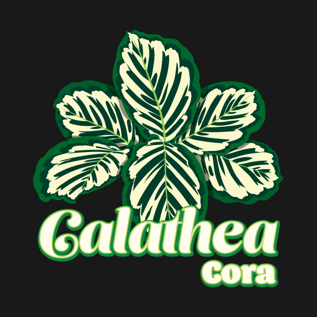 Calathea Cora by LEO+SKYLAR