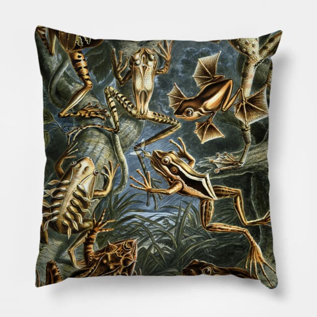 Batrachia by Ernst Haeckel Pillow by MasterpieceCafe