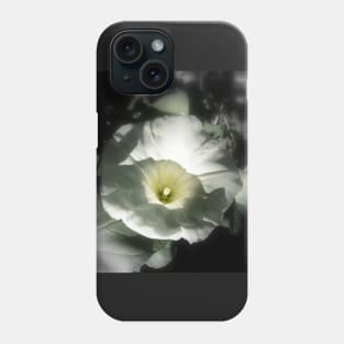 morning glory Phone Case