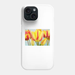 Tulipa  &#39;Colour Spectacle&#39;   Single Late Multi-flowered tulip Phone Case