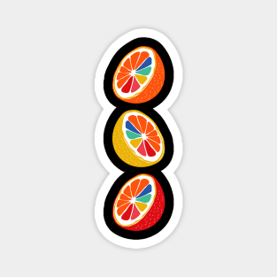 Cool Rainbow Citrus Fruit Magnet