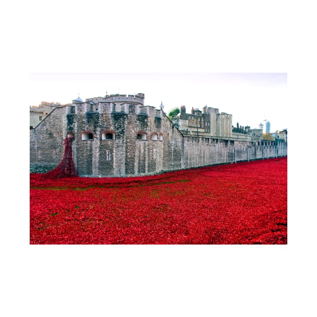 Tower of London Red Poppy Poppies UK by AndyEvansPhotos