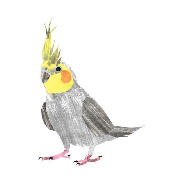 cockatiel by Babban Gaelg