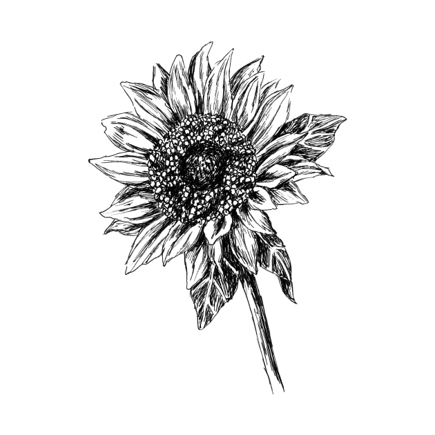 Sunflower Drawing by rachelsfinelines