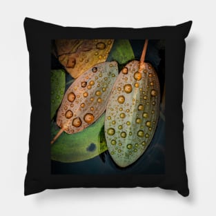 Pondweed Leaves with Raindrops Pillow