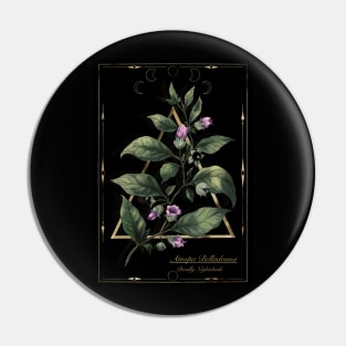 Belladonna. Witch herbs. Deadly nightshade. Pin