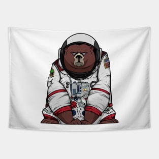 APOLLO BEAR SPACE PROJECT Tapestry