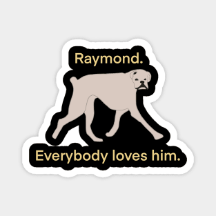 raymond Magnet