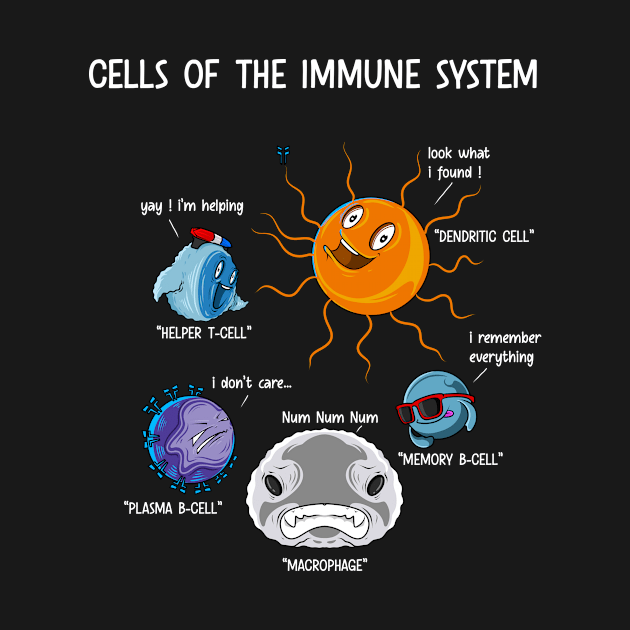 Cells Of The Immune System Science Fan Biology by Funnyawesomedesigns