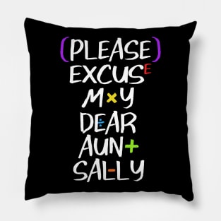 Please Excuse My Dear Aunt Sally Pillow