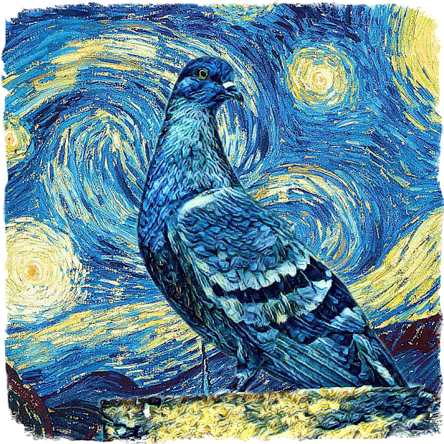 pigeons Van Gogh Style Kids T-Shirt by todos