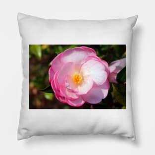 Pink Perfection Pillow