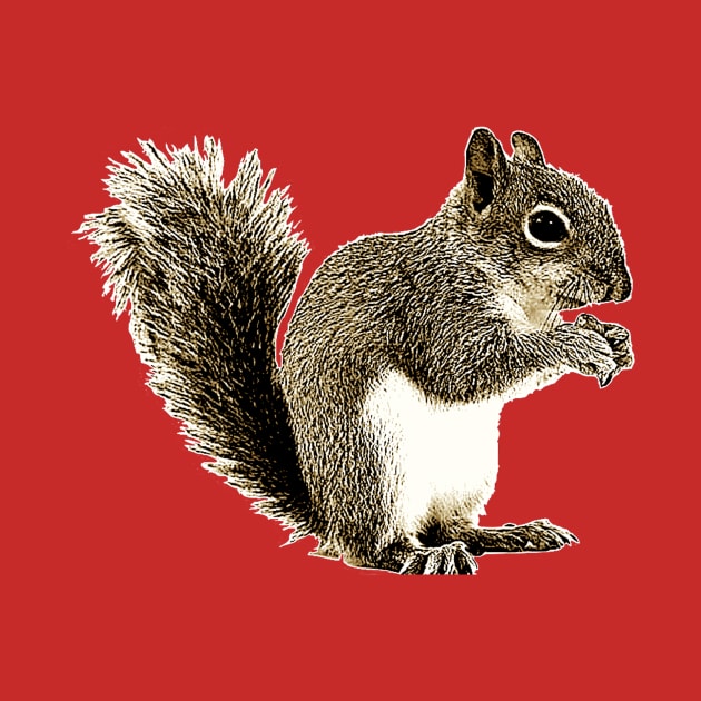 SQUIRREL by Show OFF Your T-shirts!™