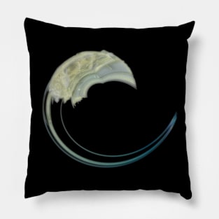 Goodnight Moon Pillow