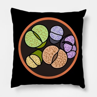 Lithops Succulent Cactus Desert Lithop Plant Pillow