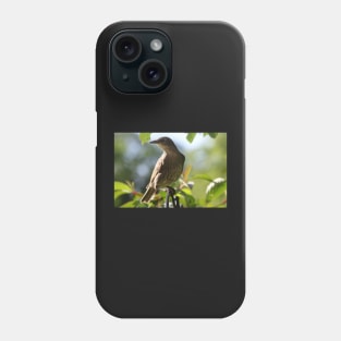 Juvenile Starling Phone Case