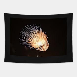 Fireworks Tapestry