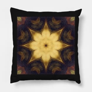 Mandalisa Kaleidoscope [textures] Pattern (Seamless) 3 Pillow