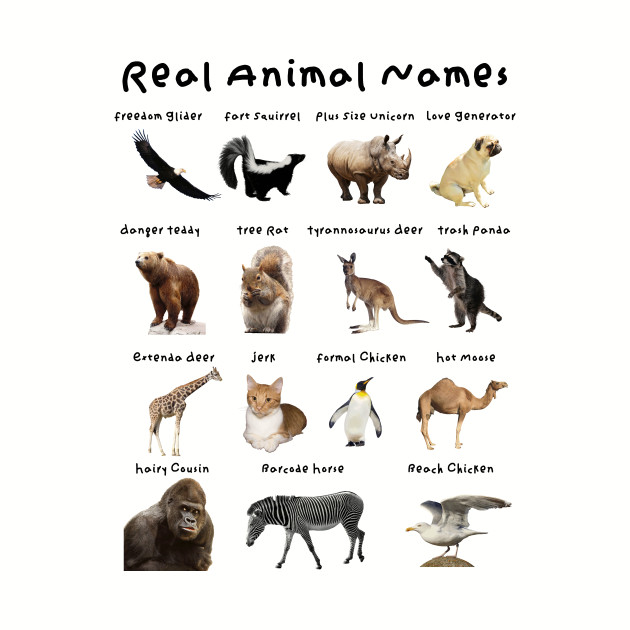 Real Animal Names - Animals - Kids T-Shirt | TeePublic