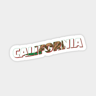 California vintage style retro souvenir Magnet