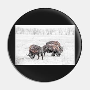 Frosty Bison Trio Pin