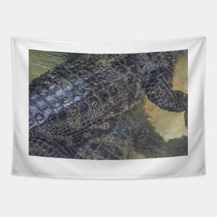 Alligator body Tapestry