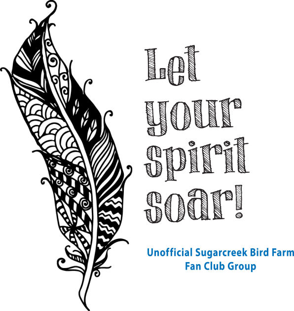 soaring feather Kids T-Shirt by Just Winging It Designs