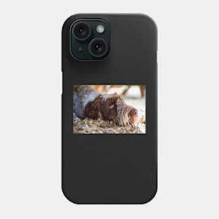 Looking up Spinone Phone Case