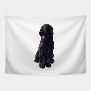 Briard Dog - Black Beauty Tapestry