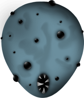 Rom, the Vacuous Spider Magnet