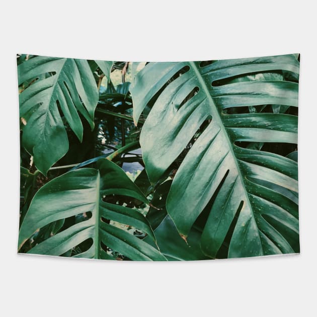 Green Palm Tree Tapestry by AlexandraStr