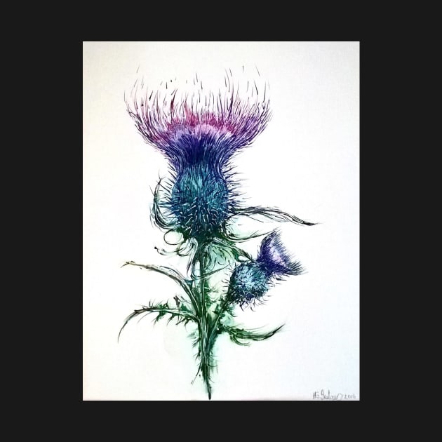 scottish thistle by myboxerdog