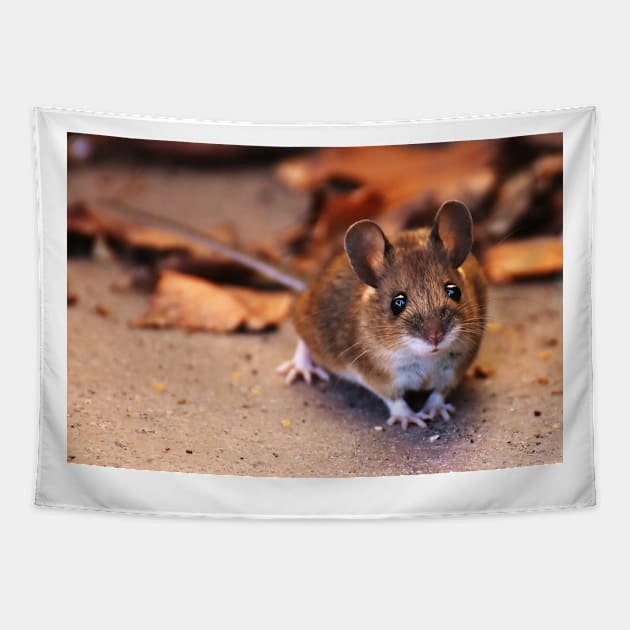 Cute little Mouse Tapestry by kawaii_shop