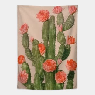 Cactus Boho Vintage Pink Tapestry