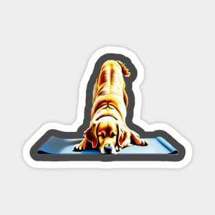 Golden Labrador doing down dog yoga pose Magnet