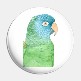 Watercolor blue crowned conure - parakeet painting Pin