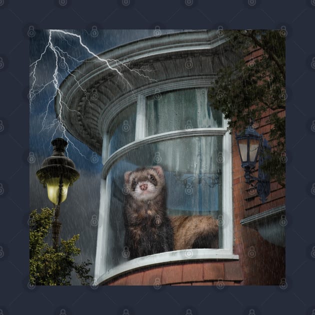 A Stormy Night Ferret - Window Ferrets art by BarbaraGlebska