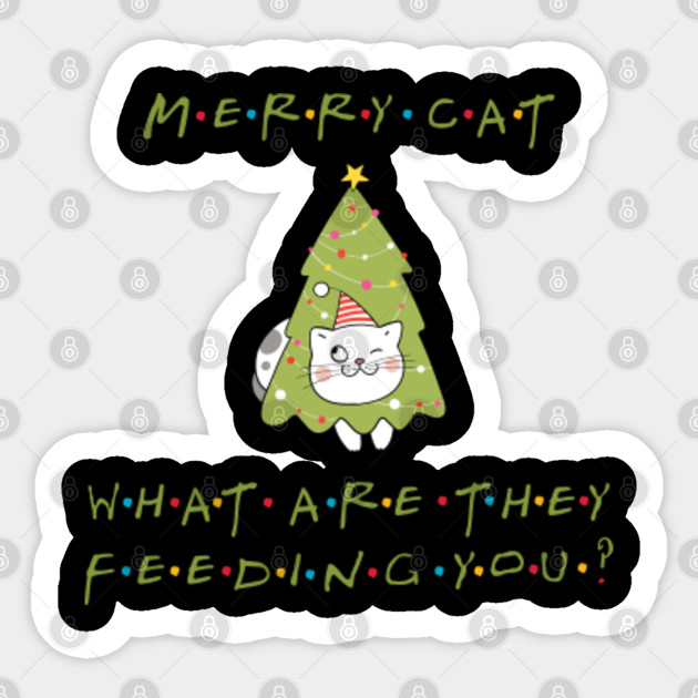 Merry Cat What Are They Feeding You Smelly Cat Friends