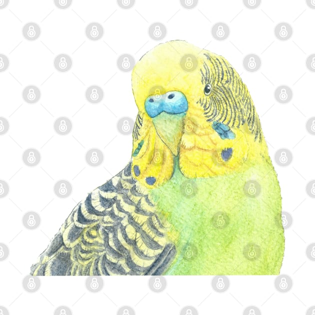 Watercolor green and yellow budgies - parakeet painting portrait by Oranjade0122