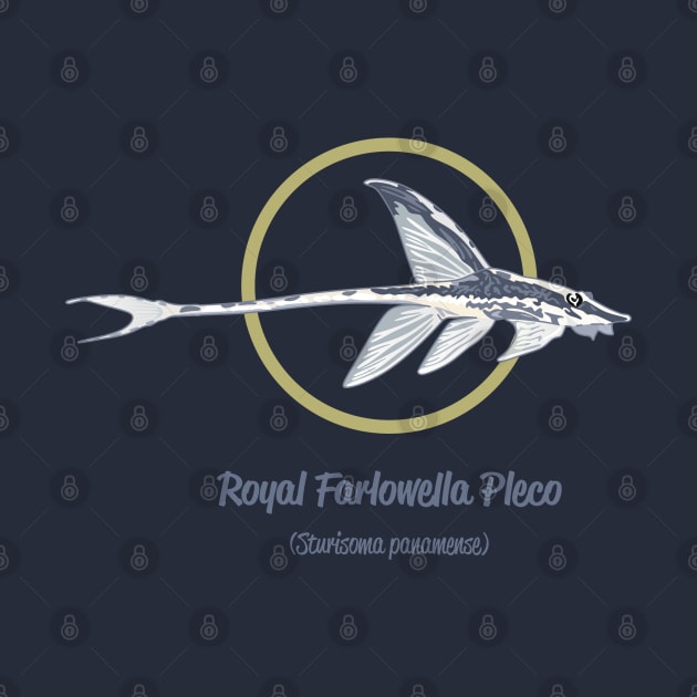 Royal Farlowella Pleco by Reefhorse